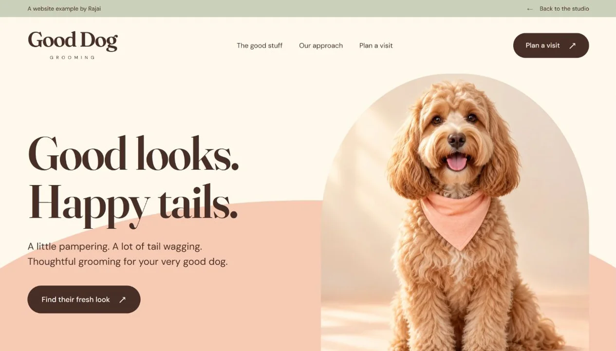 Good Dog Grooming website with a freshly groomed dog